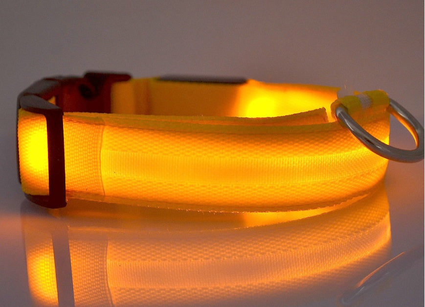 Collar luminoso de nailon LED para perros, seguridad nocturna intermitente, brillo en la oscuridad, correa para perros y gatos, suministros ajustables para mascotas