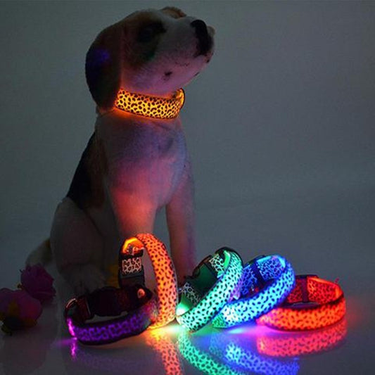 Collar de perro LED Seguridad Collar de mascota de leopardo de nailon ajustable