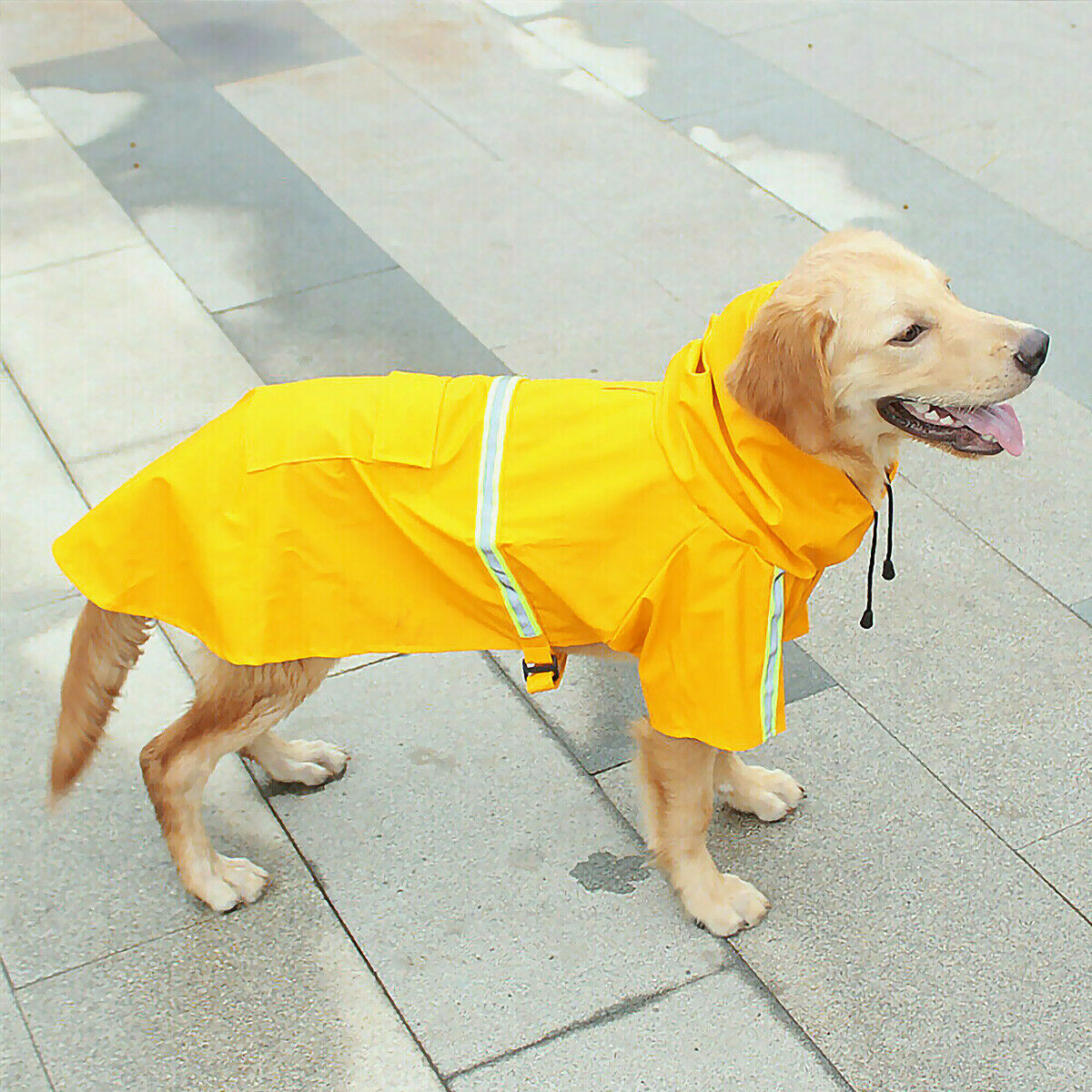 Chubasquero para perros, Impermeable, con capucha y Raya Reflectante De Seguridad