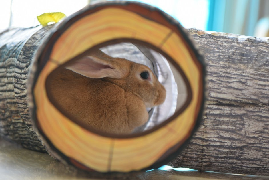 Patrón de árbol Túnel Mascota Zhiyi Juguete para gatos Suministros para mascotas Juguetes para perros y gatos