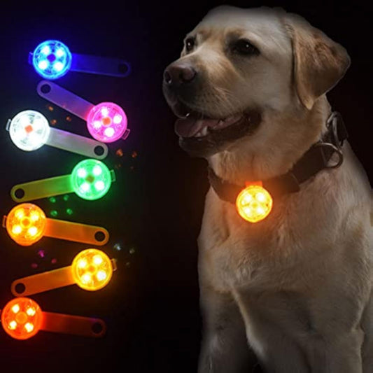 Colgante Luminoso para Perros – Luz de Seguridad para Paseos Nocturnos