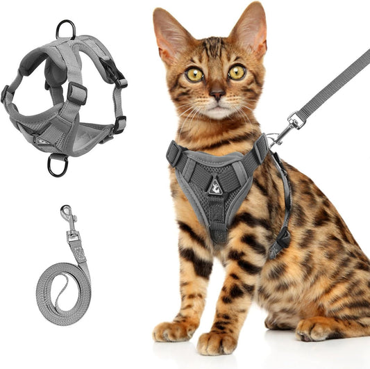 Arnés y Correa de Malla Ligera para Gatos – Ajustable y Antiescape, Ideal para Verano