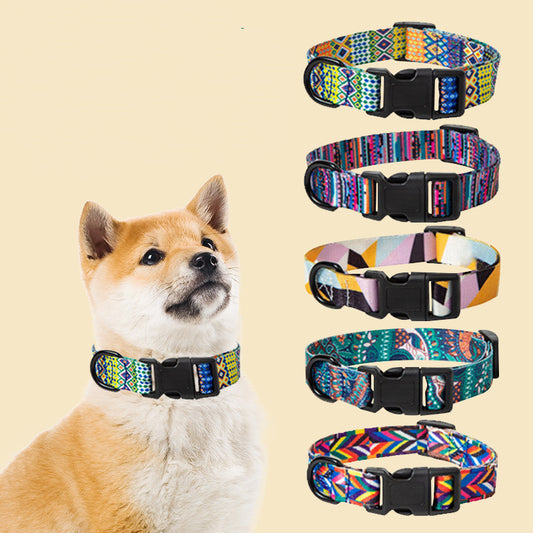 Collar de perro, collar de cuello, correa de mascota