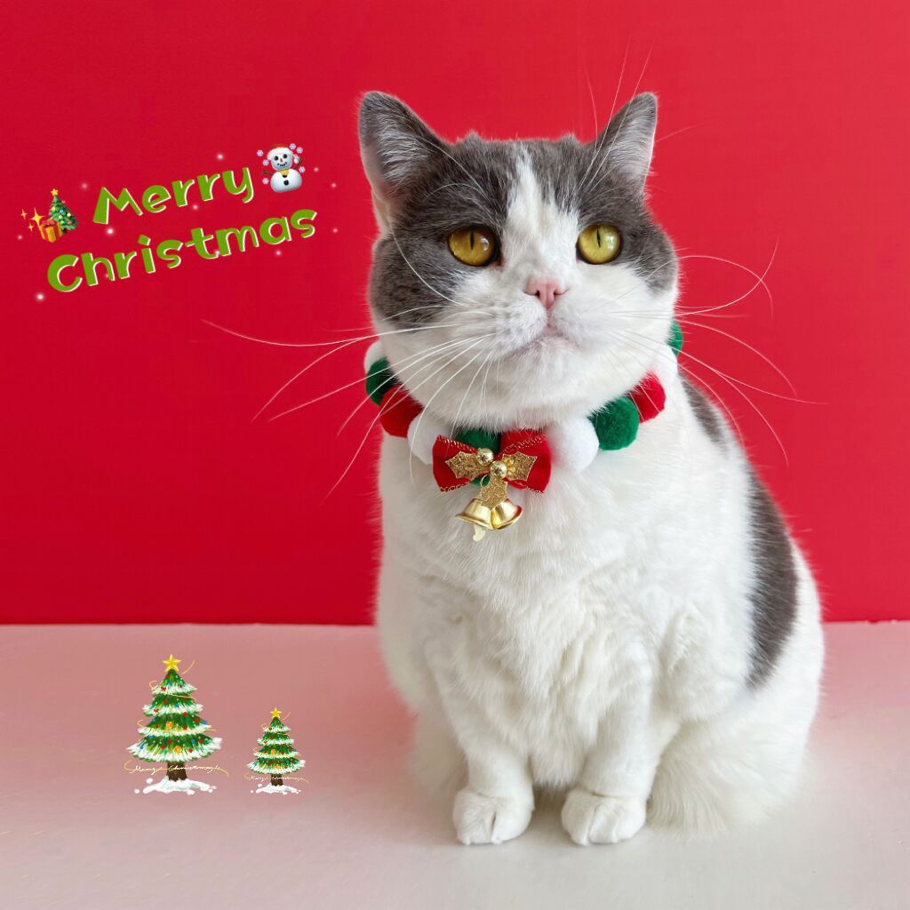 Accesorio Navideño para Mascotas – Collar de Peluche con Bolitas