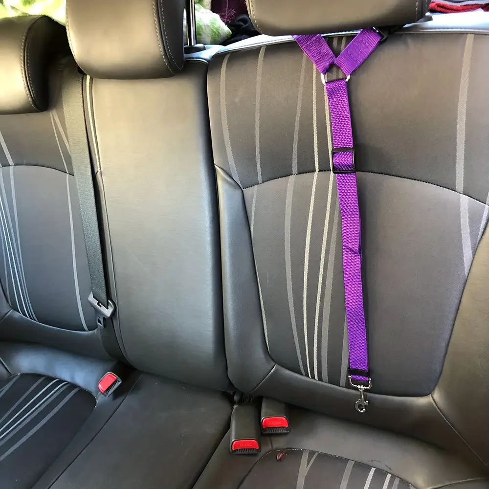 Cinturón de seguridad 2 en 1 para coche – Arnés ajustable para perros y gatos, con correa para viaje seguro