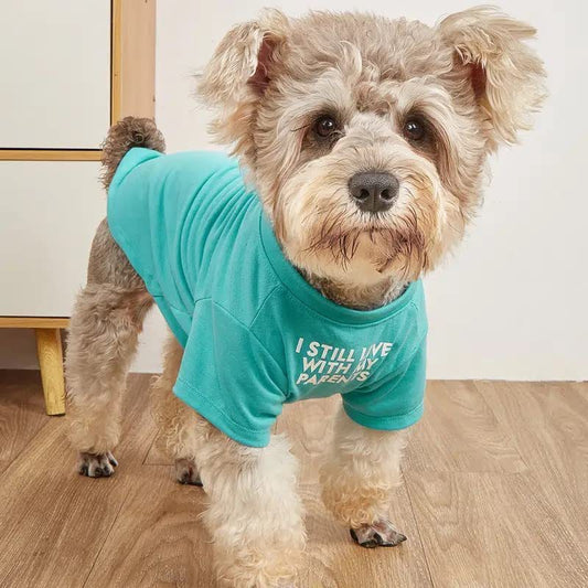 Camiseta de cuello redondo con ropa para mascotas