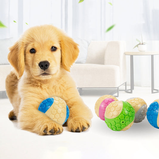 Pelota interactiva para mascotas